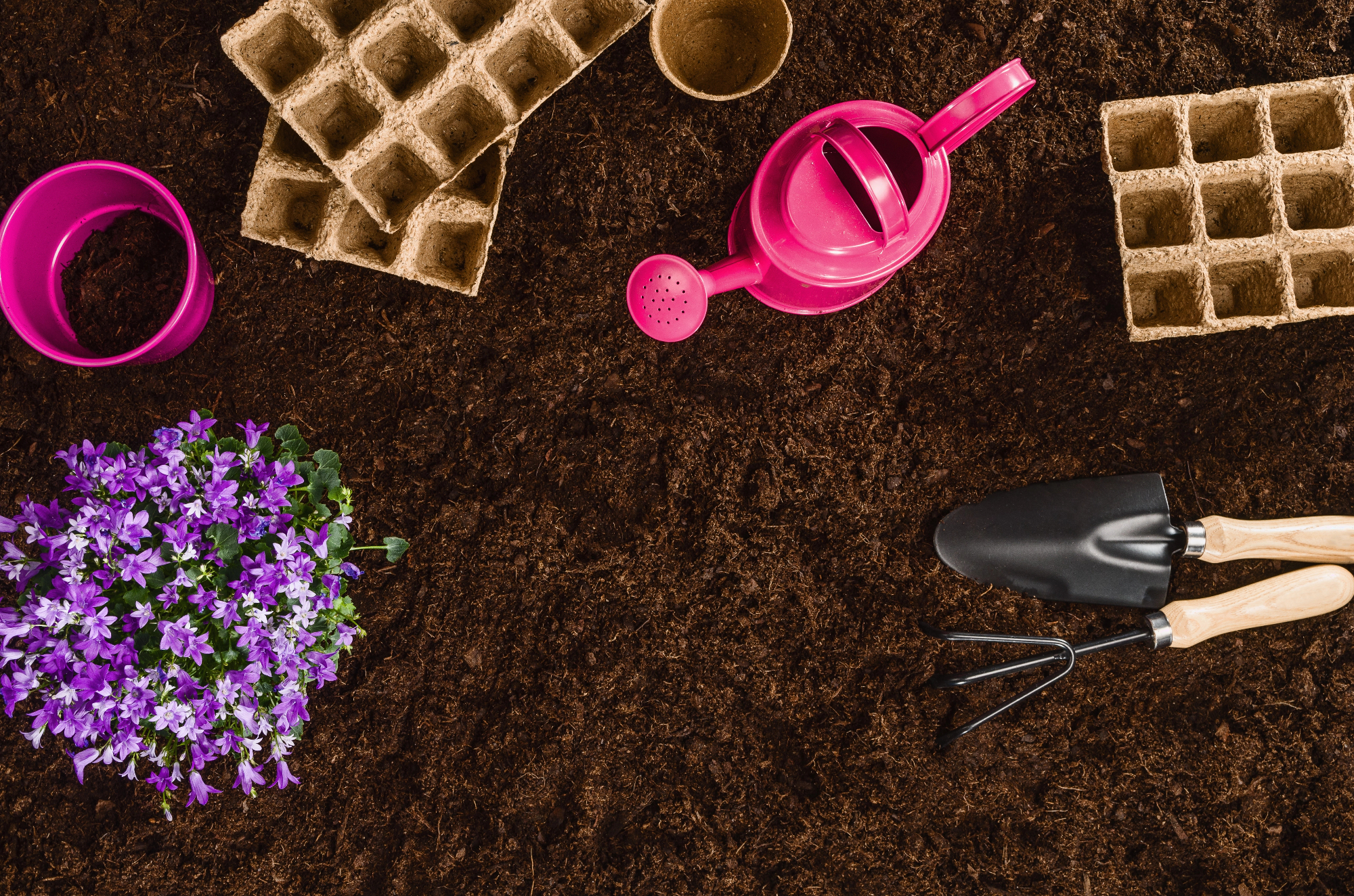 Preprosti dodatki za vrt lahko ustvarijo pravi ambient